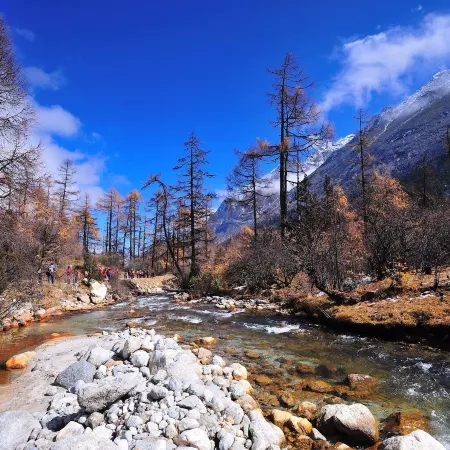Heishui Jinshan Yiju Homestay