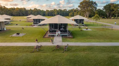 Habitat Noosa