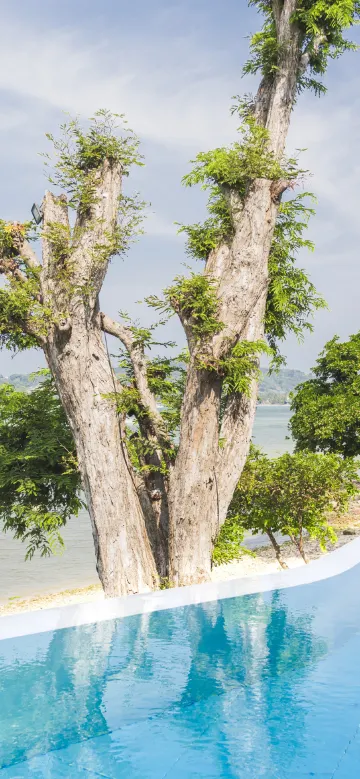 ห้องเอ็กเซ็กคิวทีฟสวีท