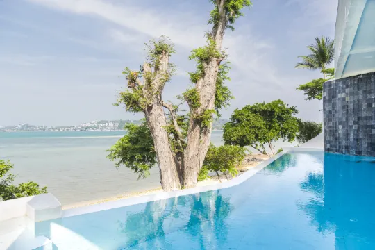 ห้องเอ็กเซ็กคิวทีฟสวีท