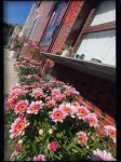 Quanzhou Yujian Qiaonan Homestay 맹그로브 웬추앙 공원 주변 호텔