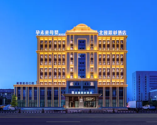 Beiguo Silver Cedar AI hotel Hotels in Daqing