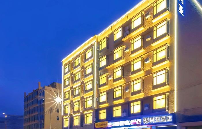 Yelia Hotel (Ding'an Bus Station Store)
