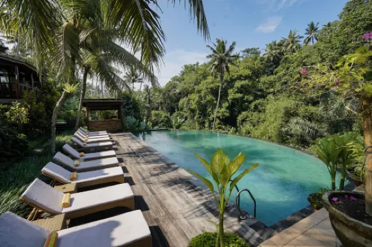 ぺルティウィ ビスマ 1