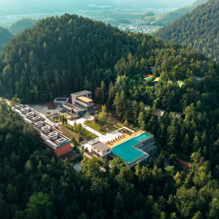 Youyang Taohuayuan Forest Hotel