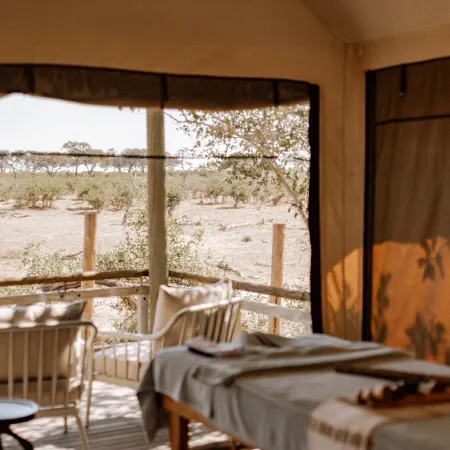 Savute Elephant Lodge