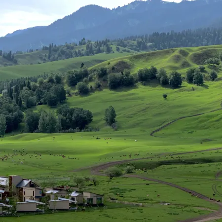 Trip.com Group Country Retreats (Nalati Spruce Hidden Lodge Joint Resort)