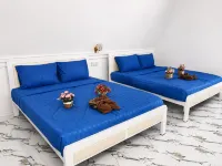 Blue Zone Hostel