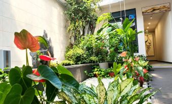 Chaochanghui Qiu Homestay