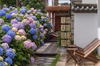 Xiamolan Bay Sea View Beautiful Stay - วิวทะเล