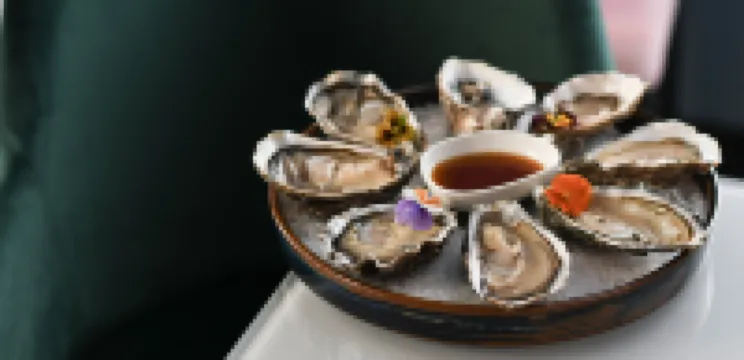 席納德拉威樂酒店