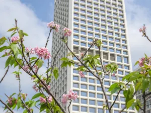 Sofitel Haikou