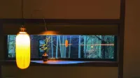 Sirugui Homestay (yuyao Branch) - صديق للحيوانات الاليفة