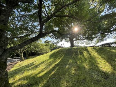 その他 ホテルラフォーレ修善寺の写真