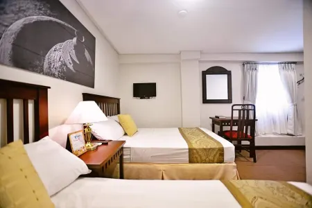 Metro Vigan Inn Near Plaza Salcedo Ilocos Sur Отели в г. Виган