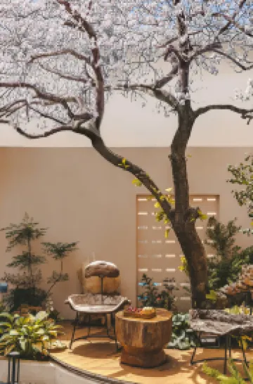 SiXi Fangyuan Structure Aesthetics Museum (Lijiang Ancient City Dashuiche)