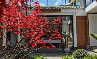 Qilan -Habitat I Man Time Qingshe Courtyard (Old Town of Lijiang North Gate Wuyi Street)