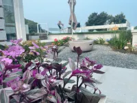 He Ji. Stone Pond Perfection B&B