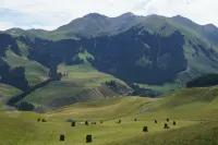 Lost Forest Homestay Hotels near Qiongkushitai Grassland in Xinjiang