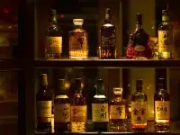 熊本城飯店 - 酒吧