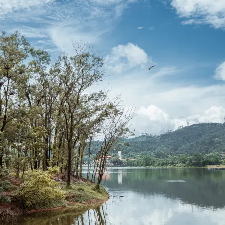Qushu Midea Luhu Qileyuan Villa