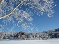 TATESHINA LAKE RESORT