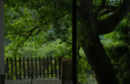 Xiangyu · Old Camphor Tree Homestay