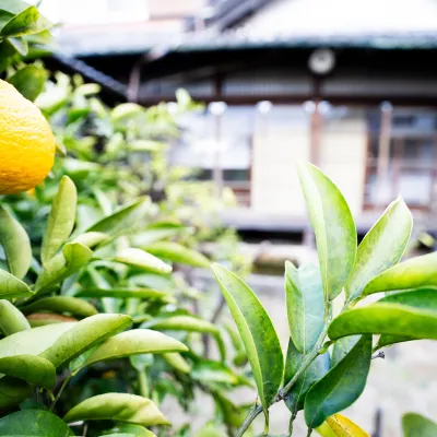 citrus house โรงแรมใกล้สถานีนิริกาฮามะ