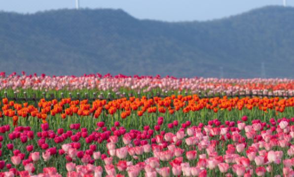 Shumyip Hot Spring Hotel