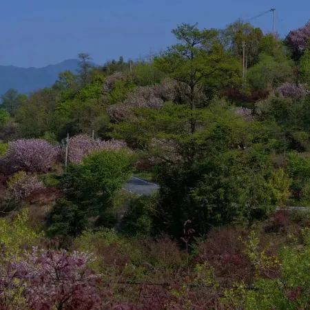 LOSTVILLA·Gushe(Yuyao)