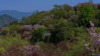 LOSTVILLA·Gushe(Yuyao) - Bergblick