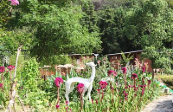 Huashenli Yeshe Tent Hotel