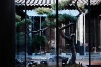 Refactoring Bingouguan Humanities Holiday Hotel (Yangzhou Dongguan Street)