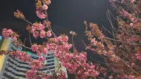 SL Hotel Gangneung Hotels near Jumunjin Beach