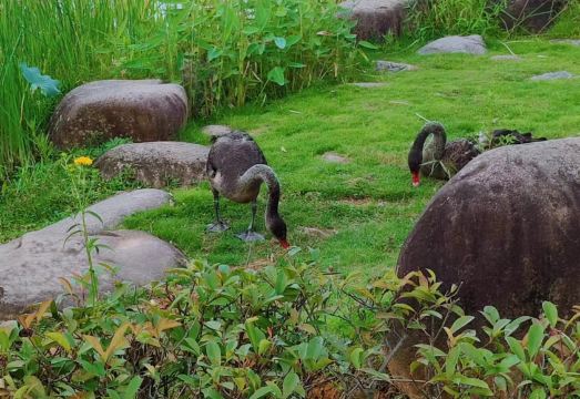 윤수 부티크 호텔 근처 완다 플라자 전경