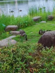 Yunsu Boutique Hotel (Nanping Wanda Plaza) Hotels in Nanping