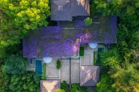 Bolian Resorts & Spa Hotel di Yiliang