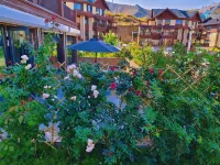 Altay Yinian Mountain B&B (Jiangjunshan International Ski Resort) Các khách sạn ở Altay