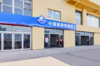 Zhengding Little Dolphin Business Hotel