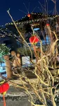Shanghe Shuixi Homestay