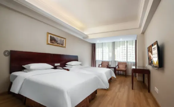 Vienna Hotel (Shenzhen Bijiashan Yinhu subway station)