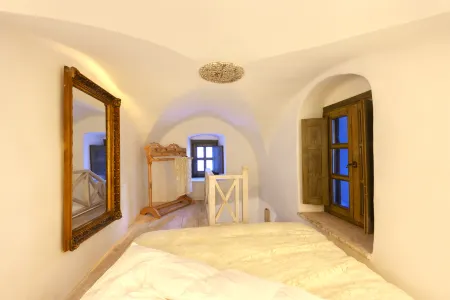 Historic Villa Santa Croce