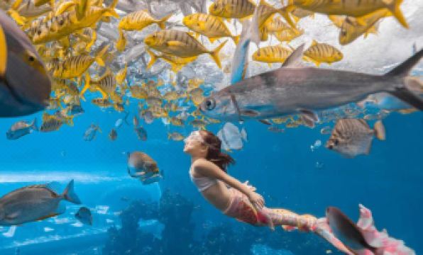 InterContinental Hotels SANYA HAITANG BAY RESORT by IHG