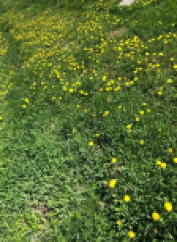 Wu Li Quan Hotel, Arxan