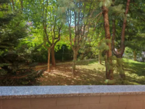 Milan Park Nord House