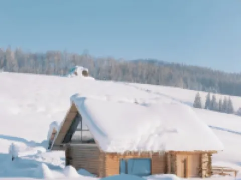 Big Pineapple  | Vintage French Snow Mountain View Resort Homestay (Kanas Scenic Area Branch) Hotels near Kanas Tuva Village