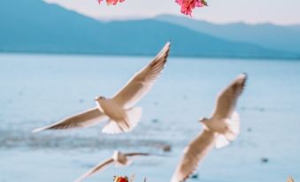 Arcadia . Anyin WaterTime Seaview Resort hotel