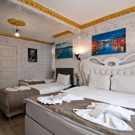 Golden Horn Park Hotel Отели рядом с достопримечательностью «Мечеть Сулеймание»