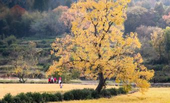 Hongcun Scenic Area Zhishu B&B