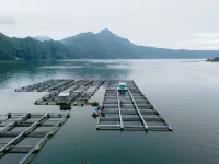 The Dewi Tasik Kintamani - Cabin and Villa Hotels near Lake Batur